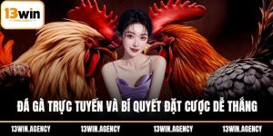 Đá gà trực tuyến