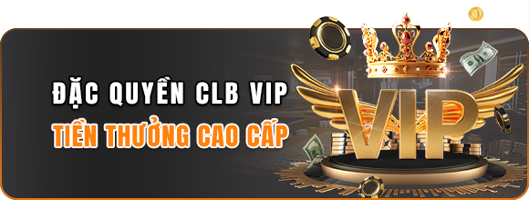 Đặc quyền VIP 13win